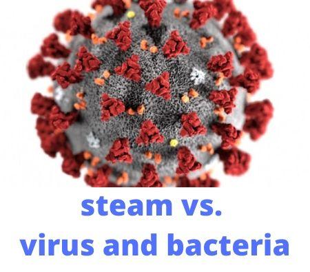 kill virus using dry steam cleaners